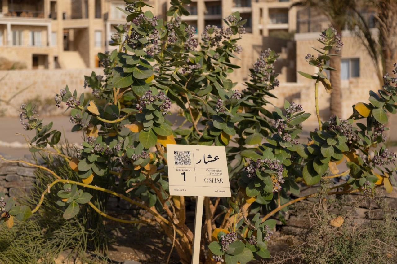 Wadi Sabarah Lodge Marsa Alam Eksteriør bilde